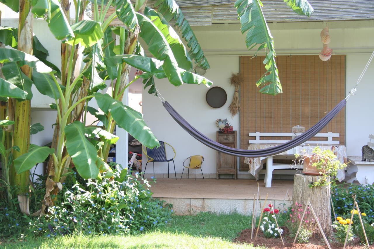 Casa Di Marco Bed & Breakfast Санникола Екстериор снимка